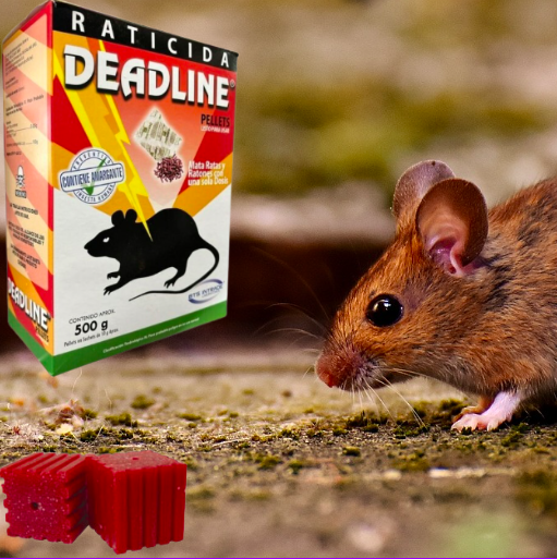 Raticida Bloque